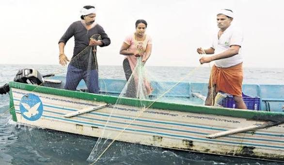 For Andhra Pradesh fisherwomen, a cyclone means more than lost fishing days