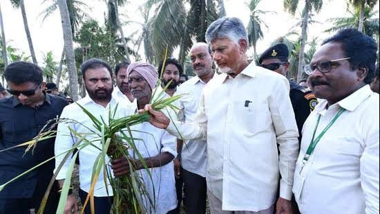 Telangana, Tamil Nadu to send teams and materials to help restore power in cyclone-hit Andhra