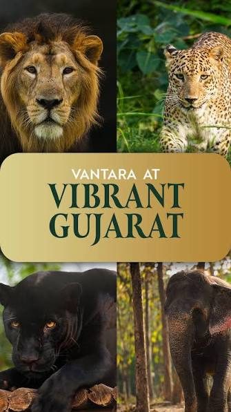 Vantara brings global wildlife experts to Jamnagar for conservation meet