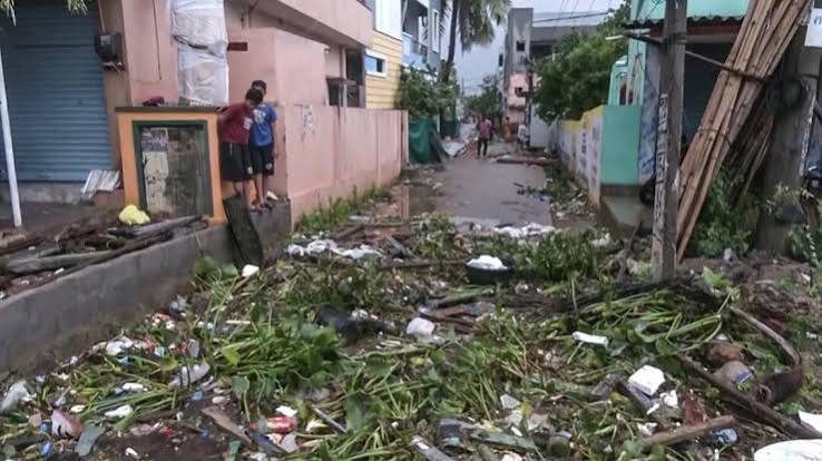 Cyclone Arnab batters Andhra, kills 5 as trees and poles topple