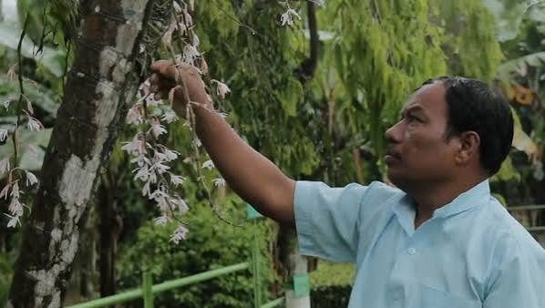 In late 1979, 15-year-old Handique returned home to Cholapathar village for lunch when a stranger arrived with an unusual offer.