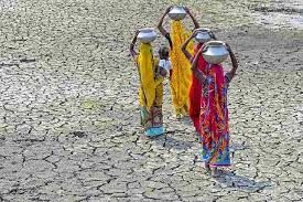 Gujarat govt yet to declare drought, says minister Kunvarji Bavaliya