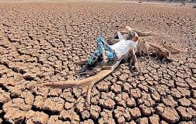 Andhra Pradesh's groundwater levels fall 3.17 metres year-on-year